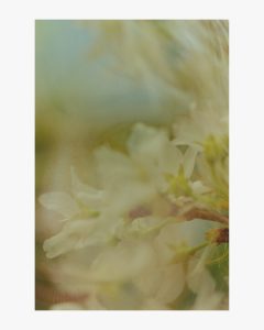 Personal Work / apartment